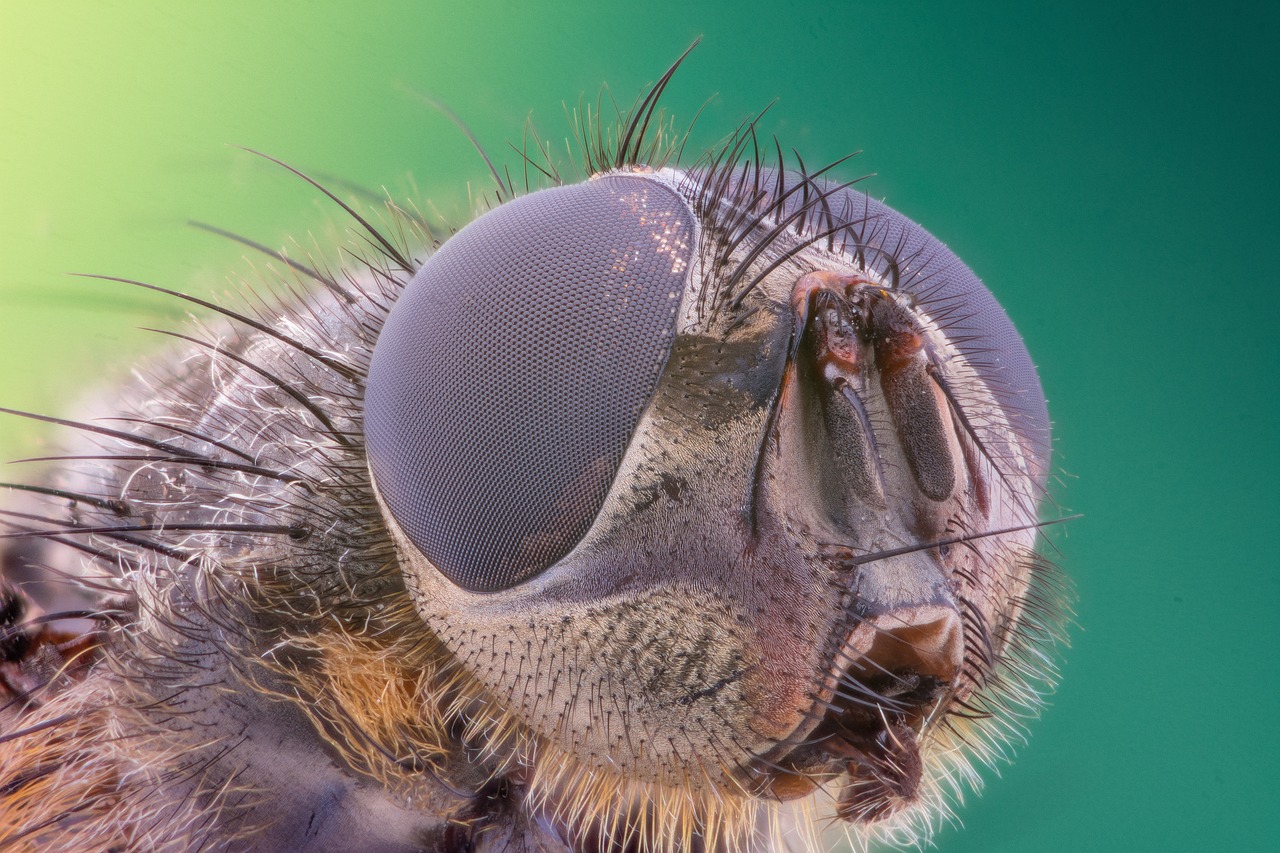 Recent Discoveries in Marine Biology - What’s New?